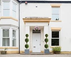 Momoplant 5ft Boxwood Topiary Artificial Tree Outdoor 59 Inches Faux Topiaries Trees Shaped Boxwood Trees Artificial Garden Home Office Décor Gift 2 Pack -Artificial Trees Store 412prEPoNKS