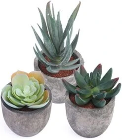 Iuuidu Artificial Potted Plant, Faux Succulent In Pot Emotional Cement Potted Plant Animated Artificial Succulents Decor For Home Living Room Bedroom And Office(Shy) 25 Iuuidu Artificial Potted Plant, Faux Succulent In Pot Emotional Cement Potted Plant Animated Artificial Succulents Decor For Home Living Room Bedroom And Office(Shy) -Artificial Trees Store 412t94VyBsL. AC