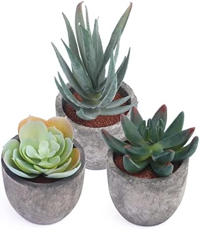 Iuuidu Artificial Potted Plant, Faux Succulent In Pot Emotional Cement Potted Plant Animated Artificial Succulents Decor For Home Living Room Bedroom And Office(Shy) 11 Iuuidu Artificial Potted Plant, Faux Succulent In Pot Emotional Cement Potted Plant Animated Artificial Succulents Decor For Home Living Room Bedroom And Office(Shy) - Image 9