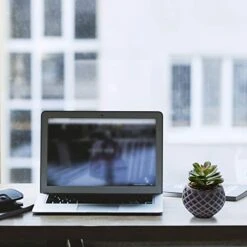 Succulent Decor, Fake Succulents, Succulent Wall Decor, Succulents Artificial Decor, Small Fake Plant, Succulent Decoration, Potted Plants, Set Of 3 Succulents 9 Succulent Decor, Fake Succulents, Succulent Wall Decor, Succulents Artificial Decor, Small Fake Plant, Succulent Decoration, Potted Plants, Set Of 3 Succulents -Artificial Trees Store 412wJ1ODZNL