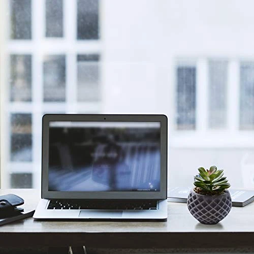 Succulent Decor, Fake Succulents, Succulent Wall Decor, Succulents Artificial Decor, Small Fake Plant, Succulent Decoration, Potted Plants, Set Of 3 Succulents 5 Succulent Decor, Fake Succulents, Succulent Wall Decor, Succulents Artificial Decor, Small Fake Plant, Succulent Decoration, Potted Plants, Set Of 3 Succulents - Image 3