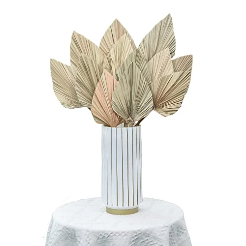PYSAZI 12 Pcs Natural Dried Palm Leaves Boho Dried Palm Spears Leaves Bulk Small Dried Real Palm Fans Dry Palm Leaves With Stems Dried Leaf Boho Home Décor For Vase Wedding Office Home 43.5*12cm 3 PYSAZI 12 Pcs Natural Dried Palm Leaves Boho Dried Palm Spears Leaves Bulk Small Dried Real Palm Fans Dry Palm Leaves With Stems Dried Leaf Boho Home Décor For Vase Wedding Office Home 43.5*12cm