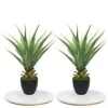 27" H Sansevieria Snake Plant - Artificial Agave – Green Color– With Pot – From MOMO Plant -Artificial Trees Store 41383NbkBWL