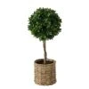 WHW Whole House Worlds Realistic Faux Potted Boxwood Ball Topiary Tree, Rattan Basket Planter, 17 Inches Tall, Weighted Bottom, French Country Style 2 WHW Whole House Worlds Realistic Faux Potted Boxwood Ball Topiary Tree, Rattan Basket Planter, 17 Inches Tall, Weighted Bottom, French Country Style -Artificial Trees Store 413CUSdQRJL