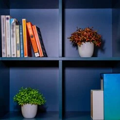 Plants+ Artificial Fake Faux Indoor House Desk Office For Decoration - Plastic Lifelike Flower With White Pot, Outdoor Decor Topiary Greenery, Set Of 1, Lavender -Artificial Trees Store 413JHjtGO0L