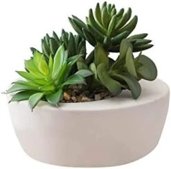 FAVRD Artificial Succulents In Cement Pot Environmentally Conscious Partly Recycled Fake Plants Artificial Plants Indoor Home Office Decor Desk Faux Plants, 8.5 X 8.5 X 8.75 Inches, Green, (10181-A) -Artificial Trees Store 413kZAyvC5L. AC