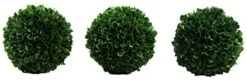 Admired By Nature Faux Preserved Artificial Boxwood Ball Plant, Small-3pcs, 3 Count