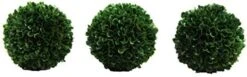 Admired By Nature Faux Preserved Artificial Boxwood Ball Plant, Small-3pcs, 3 Count -Artificial Trees Store 413tnZ2wO5L. AC