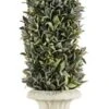 Regency International Flocked Artificial Sage Cone Tabletop Topiary 24" -Artificial Trees Store 413unfKcOyL