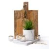 Kurrajong Farmhouse - Marble Pattern Pot With Faux Succulent Plant - 8" High - Artificial Plant - Potted Plant - Succulent Plants Artificial - Fake Succulent - Faux Plant Pot -Artificial Trees Store 4148EBzfiTL