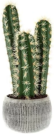 Pure Garden 50-10016 Giant Agave Fake Plant-52-Inch Faux Succulent, Fits With Southwestern Decor And Cactus Artificial Plants, Includes 7-Inch Pot, 7x7, Green 7 Pure Garden 50-10016 Giant Agave Fake Plant-52-Inch Faux Succulent, Fits With Southwestern Decor And Cactus Artificial Plants, Includes 7-Inch Pot, 7x7, Green - Image 5