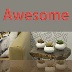 Earthy Décore Warning May Cause Happiness, Set Of 3 Amazing Looking Artificial Cactus Plants In Ceramic Pot With Unconditional 60 Return, No Questions Ask 8 Earthy Décore Warning May Cause Happiness, Set Of 3 Amazing Looking Artificial Cactus Plants In Ceramic Pot With Unconditional 60 Return, No Questions Ask -Artificial Trees Store 414afAy8npL