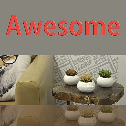 Earthy Décore Warning May Cause Happiness, Set Of 3 Amazing Looking Artificial Cactus Plants In Ceramic Pot With Unconditional 60 Return, No Questions Ask 5 Earthy Décore Warning May Cause Happiness, Set Of 3 Amazing Looking Artificial Cactus Plants In Ceramic Pot With Unconditional 60 Return, No Questions Ask - Image 3