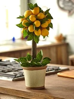 Nearly Natural Lemon Ball Arrangement Topiary, Yellow,19.5'' X 8.5'' X 8.75'' - 4865 -Artificial Trees Store 414qlAZJ3PL