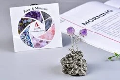 AMOYSTONE Natural Amethyst Flower Tree Wrapped On Quartz Pyrite Base Healing Stone Tree Money Tree For Wealth And Luck Amethyst Pyrite 3-4" Tall -Artificial Trees Store 4150Sd8uWeL