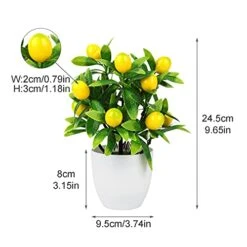 FQQWEE 2Pcs Artificial Lemon Tree Potted Plants 10Inch Mini Greenery Fake Lemon Fruit Bonsai Simulation Yellow Lemon Tree Topiary Plants For Home Offoce Party Decoration … 11 FQQWEE 2Pcs Artificial Lemon Tree Potted Plants 10Inch Mini Greenery Fake Lemon Fruit Bonsai Simulation Yellow Lemon Tree Topiary Plants For Home Offoce Party Decoration … -Artificial Trees Store 4152HDPSpLL