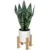 Briful 14'' Fake Snake Plant Home Decor Real Touch Faux Sansevieria Plant In White Ceramic Pot With Wooden Stand Artificial Snake Plant With Wide Leaves For Kitchen Living Room Bathroom Decorations -Artificial Trees Store 4159HmPZOQL