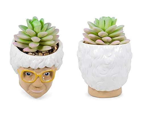 Silver Buffalo The Golden Girls Sophia Face Mini Ceramic Planter Decor | Official TV Show Collectible | Small Flower Pot For Indoor Plants, Includes Artificial Succulent | 3 Inches 4 Silver Buffalo The Golden Girls Sophia Face Mini Ceramic Planter Decor | Official TV Show Collectible | Small Flower Pot For Indoor Plants, Includes Artificial Succulent | 3 Inches - Image 2