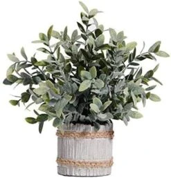 Ifreeside Small Potted Artificial Plants Plastic Fake Greenery Topiary Shrubs For Home Office Farmhouse Bathroom Tabletop Indoor Decor Green Rosemary 17 Ifreeside Small Potted Artificial Plants Plastic Fake Greenery Topiary Shrubs For Home Office Farmhouse Bathroom Tabletop Indoor Decor Green Rosemary -Artificial Trees Store 416DM8E3ubL. AC