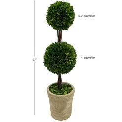 Modern Home Real Preserved Boxwood Double Ball Topiary -Artificial Trees Store 416Hx6RMywL