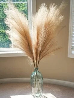 Boho Wish Faux Pampas Grass Decor Tall Set Of 7 PCs -40 Inches Non-Shedding, Floor And Office Vase Filling-Fluffy Floral Branches -Wedding Decor- Home And Bedroom Table Decoration (Brown) 17 Boho Wish Faux Pampas Grass Decor Tall Set Of 7 PCs -40 Inches Non-Shedding, Floor And Office Vase Filling-Fluffy Floral Branches -Wedding Decor- Home And Bedroom Table Decoration (Brown) -Artificial Trees Store 417 dNjFVkL. AC