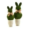 Bunny Topiary, Green Preserved Moss,16 1/2" X 6" Dia -Artificial Trees Store 417Q6tZmM0L