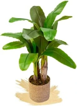 Artificial Banana Tree, Made With The Best Materials, Ideal For Home Decoration, Artificial Plant 7 Feet Tall - 83 Inches -Artificial Trees Store 417ilbA6VUL. AC