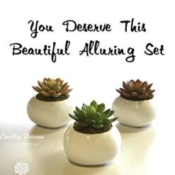 Earthy Décore Warning May Cause Happiness, Set Of 3 Amazing Looking Artificial Cactus Plants In Ceramic Pot With Unconditional 60 Return, No Questions Ask 7 Earthy Décore Warning May Cause Happiness, Set Of 3 Amazing Looking Artificial Cactus Plants In Ceramic Pot With Unconditional 60 Return, No Questions Ask -Artificial Trees Store 418ClKjajsL