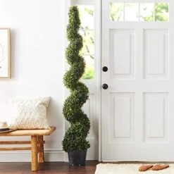 Silk Decor 6-Feet Pond Boxwood Spiral Topiary Plant, Green -Artificial Trees Store 418MKeV98mL