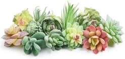 Happyhapi 12 Pcs Artificial Succulents Mini Fake Plants Unpotted Faux Succulent For Craft, Small Plastic Succulents Assortment In Flocked Green Floral Decor For Party, Cake, Garden & Outdoor 11 Happyhapi 12 Pcs Artificial Succulents Mini Fake Plants Unpotted Faux Succulent For Craft, Small Plastic Succulents Assortment In Flocked Green Floral Decor For Party, Cake, Garden & Outdoor -Artificial Trees Store 418WXm XjsL. AC