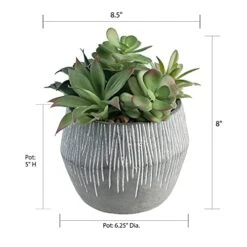 FAVRD Artificial Succulents In Cement Pot Environmentally Conscious Partly Recycled Fake Plants Artificial Plants Indoor Home Office Decor Desk Faux Plants, 8.5 X 8.5 X 8.75 Inches, Green, (10181-A) -Artificial Trees Store 418XXI2tAhL