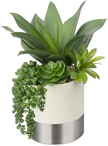 Large Artificial Succulents Plants Faux Succulents 12" Fake Succulent Plants In Gold Ceramic Pot Succulent Plant For Desk Modern Home Living Room Office Table Shelf Decor 11 Large Artificial Succulents Plants Faux Succulents 12" Fake Succulent Plants In Gold Ceramic Pot Succulent Plant For Desk Modern Home Living Room Office Table Shelf Decor - Image 9