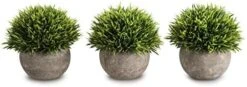 Opps Mini Artificial Plants Plastic Fake Green Colorful Flower Topiary Shrubs With Gray Pot For Home Décor – Set Of 3 -Artificial Trees Store 418wfYdIXL. AC