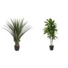 Nearly Natural 4' Spiked Agave Plant, Green & 43in. Dracaena Silk (Real Touch) Artificial Plant, Green 1 Nearly Natural 4' Spiked Agave Plant, Green & 43in. Dracaena Silk (Real Touch) Artificial Plant, Green -Artificial Trees Store 418xn3YHmFL