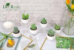 Der Rose 6 Packs Fake Succulents Plants Small Realistic Succulents Plants Artificial For Home Room Decor Indoor 14 Der Rose 6 Packs Fake Succulents Plants Small Realistic Succulents Plants Artificial For Home Room Decor Indoor -Artificial Trees Store 419AboaAWqL