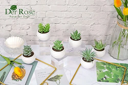 Der Rose 6 Packs Fake Succulents Plants Small Realistic Succulents Plants Artificial For Home Room Decor Indoor 7 Der Rose 6 Packs Fake Succulents Plants Small Realistic Succulents Plants Artificial For Home Room Decor Indoor - Image 5
