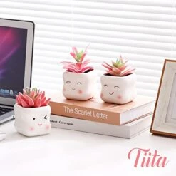 Tiita Artificial Faux Succulents In Pots Fake Plants Ceramic Arrangement Planter Small Mini Tiny Decoration For Home Office Desk Window Sill Bathroom Bedroom Outdoor Indoor -Artificial Trees Store 419yXIKu2CL