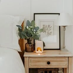 DEEMEI 22pcs Artificial Eucalyptus Stems Bulk Silver Dollar Leaves Eucalyptus Branches Greenery Decor(11.4" Tall) -Artificial Trees Store 41A1Y3BsHbL