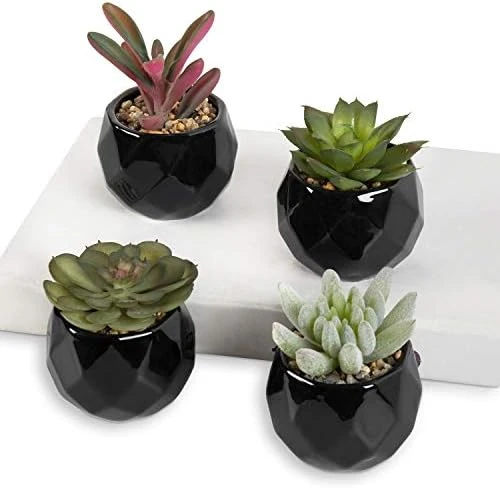MyGift Miniature Artificial Succulents, Indoor Fake House Plants In Round White Geometric Ceramic Pots, Set Of 4 8 MyGift Miniature Artificial Succulents, Indoor Fake House Plants In Round White Geometric Ceramic Pots, Set Of 4 - Image 6