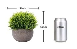 Nerseki Artificial Plants Plastic Mini Fake Fresh Lifelike Green Grass In Gray Pot For Home Decor (Snow-1) -Artificial Trees Store 41ATo6j8bjL