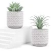 Der Rose 2 Packs Fake Plants Artificial Succulents Plants In Pots For Home Boho Decor Indoor -Artificial Trees Store 41AqohkHlOL