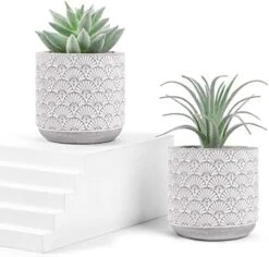 Der Rose 2 Packs Fake Plants Artificial Succulents Plants In Pots For Home Boho Decor Indoor 12 Der Rose 2 Packs Fake Plants Artificial Succulents Plants In Pots For Home Boho Decor Indoor -Artificial Trees Store 41AqohkHlOL. AC