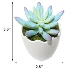Myartte Artificial Succulent Plants Fake Succulents Mini Faux Plants For Home/Office Docor (Resin Pots) … 15 Myartte Artificial Succulent Plants Fake Succulents Mini Faux Plants For Home/Office Docor (Resin Pots) … -Artificial Trees Store 41B8s3Tq2UL