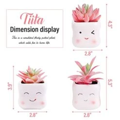 Tiita Artificial Faux Succulents In Pots Fake Plants Ceramic Arrangement Planter Small Mini Tiny Decoration For Home Office Desk Window Sill Bathroom Bedroom Outdoor Indoor -Artificial Trees Store 41BLEYIPGEL