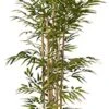 Nearly Natural 5253 Bamboo Silk Tree, 64-Inch, Green -Artificial Trees Store 41BVjdpOfXL
