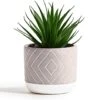 Kurrajong Farmhouse 8" X 4.5" Beautiful Fake Plant | Artificial Potted Plant Decor | Faux Plant | Artificial Succulent Plants Potted For Home Decor Indoor | Fake Potted Plant | Fake Succulents -Artificial Trees Store 41C0JadhmmS