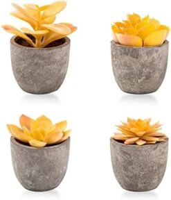 Jelofly Fake Plants Artificial Succulent Plants Assorted Decorative Faux Succulent Potted Fake Cactus Cacti Plants Gray Pots, Set Of 5 -Artificial Trees Store 41C394tVZjL. AC