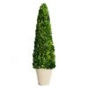 BoxwoodWorld Boxwood Topiary 100cm Height Preserved Nature Boxwood Leaves, Big Tree Plant Decor For Any Indoor Room (Large Bxowood ConeTree, 39 Inch) -Artificial Trees Store 41CCcqP9keL