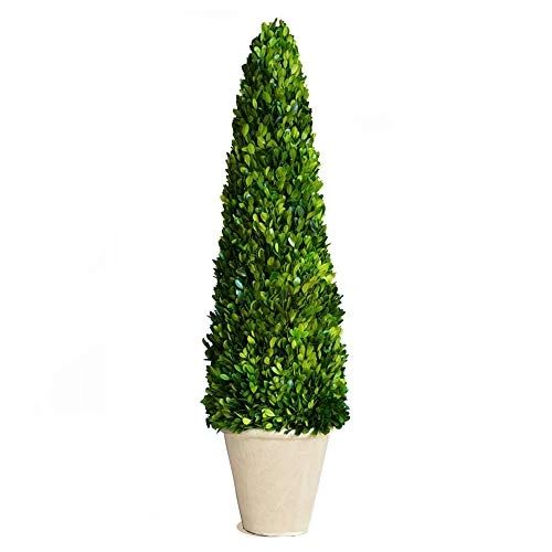 BoxwoodWorld Boxwood Topiary 100cm Height Preserved Nature Boxwood Leaves, Big Tree Plant Decor For Any Indoor Room (Large Bxowood ConeTree, 39 Inch) 3 BoxwoodWorld Boxwood Topiary 100cm Height Preserved Nature Boxwood Leaves, Big Tree Plant Decor For Any Indoor Room (Large Bxowood ConeTree, 39 Inch)