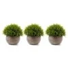 T4U 3PCS Artificial Plastic Potted Plant Fake Green Grass Faux Plant With Pot For Home Office Indoor Décor -Artificial Trees Store 41CIAinkbyL